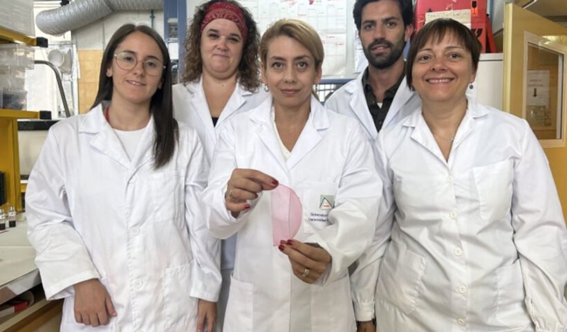 Parte del equipo del grupo de investigación NANOBIOPOL de la UA