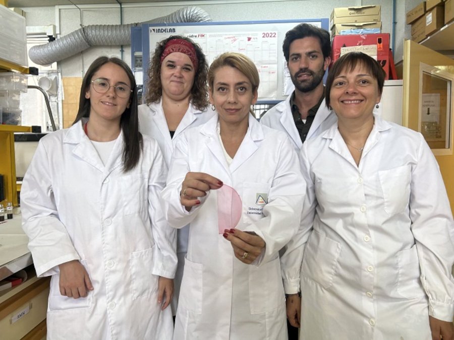 Parte del equipo del grupo de investigación NANOBIOPOL de la UA