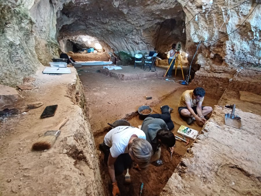 Vista general de la excavación (Universidad de Burgos)