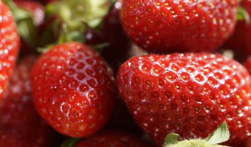 fresas