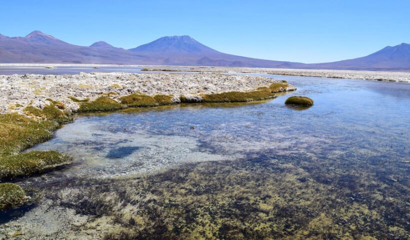 La laguna del Salar de Ascotán (Universidad de Chile)