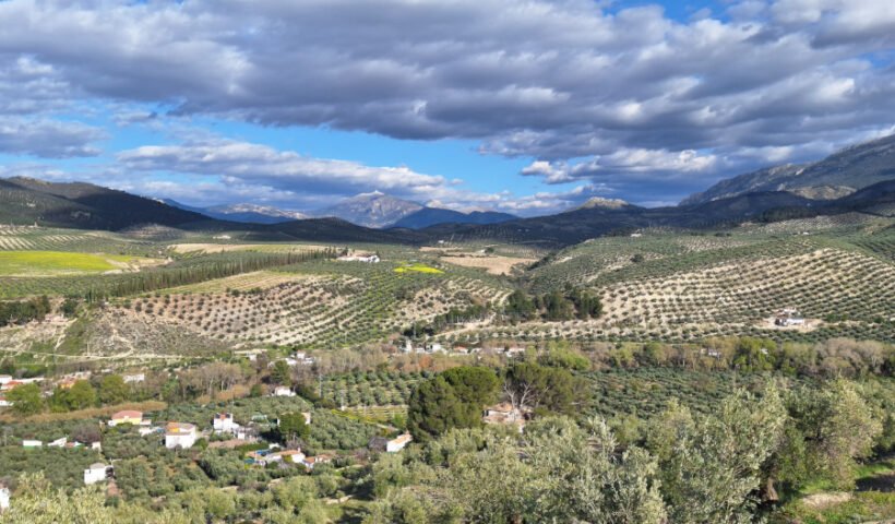 Una secuencia de usos del suelo desde los fondos de valle ocupados de olivar intensivo y segunda residencia dispersa, olivares tradicionales en las laderas y repoblaciones forestales en las montañas circundantes. Al fondo, el pico Almadén (2.036 m.s.n.m.), Sierra Mágina. Autor: José Domingo Sánchez Martínez (2024) - Publicada o republicada en Scientias - Noticias de Ciencia de España y países de habla hispana