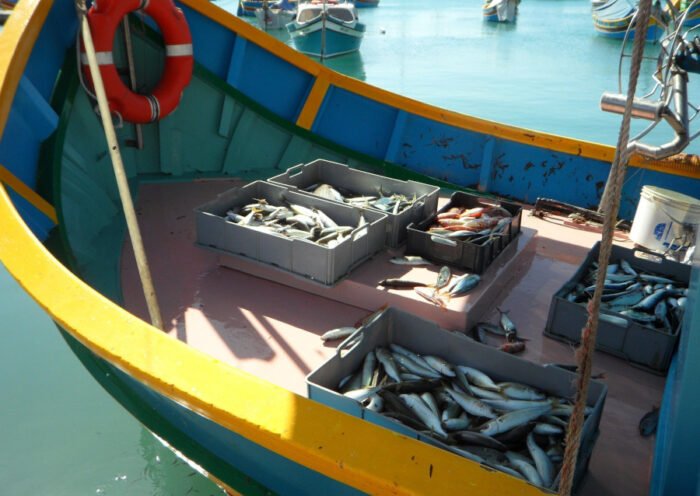 Pesca (autor: Efraimstochter)