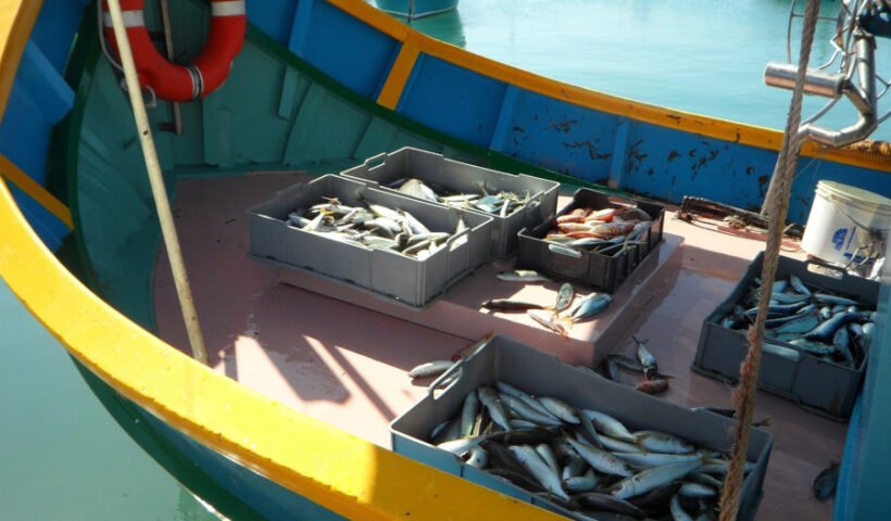 Pesca (autor: Efraimstochter)
