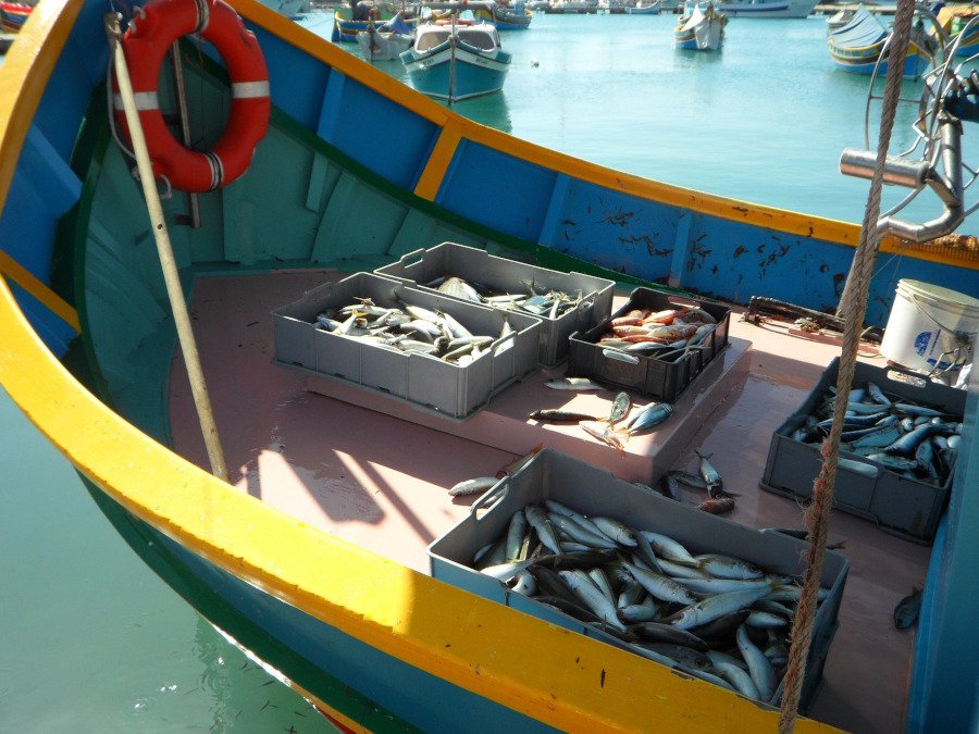 Pesca (autor: Efraimstochter)