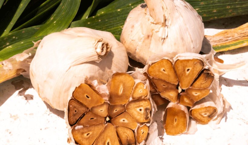 Ajo envejecido (Pharmactive Biotech Products S.L.U.)