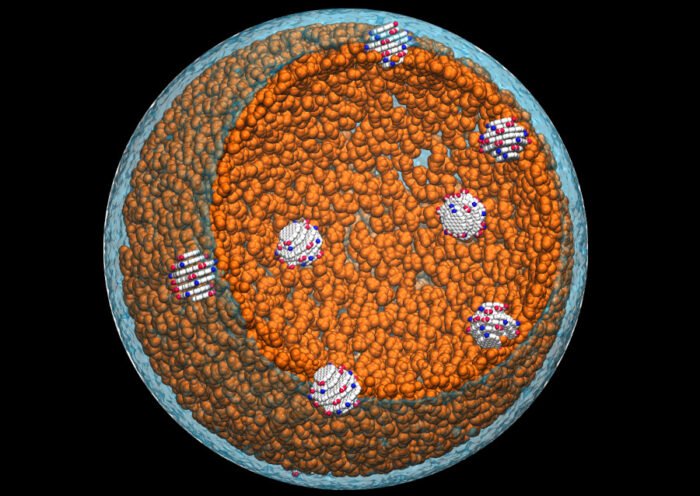 Sistema de Agarosa con "carbon quantum dots" (CQD) que se construyó con la ayuda del programa SuSi. (Autor: Juan Torras)