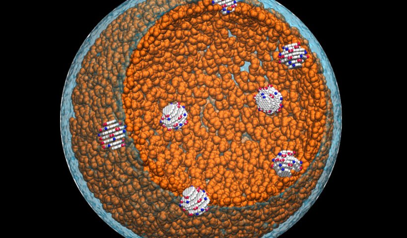 Sistema de Agarosa con "carbon quantum dots" (CQD) que se construyó con la ayuda del programa SuSi. (Autor: Juan Torras)
