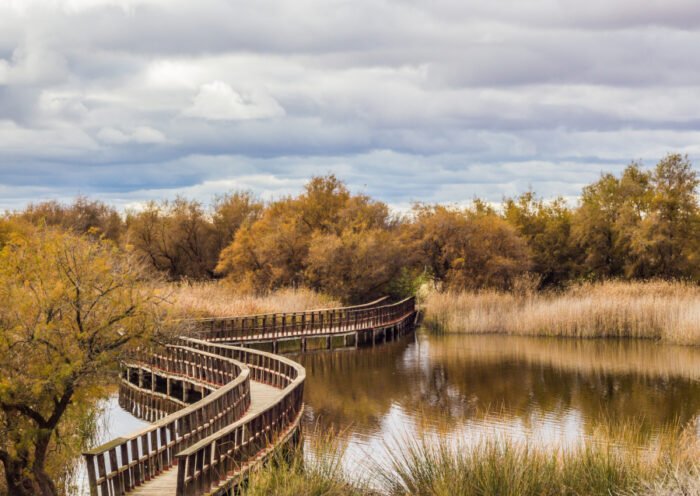 Tablas de Daimiel (Autor: Pablo García Armentano, CC BY-SA 3.0 es, https://commons.wikimedia.org/w/index.php?curid=40008915)
