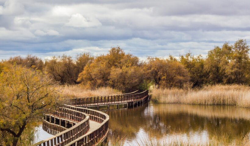 Tablas de Daimiel (Autor: Pablo García Armentano, CC BY-SA 3.0 es, https://commons.wikimedia.org/w/index.php?curid=40008915)