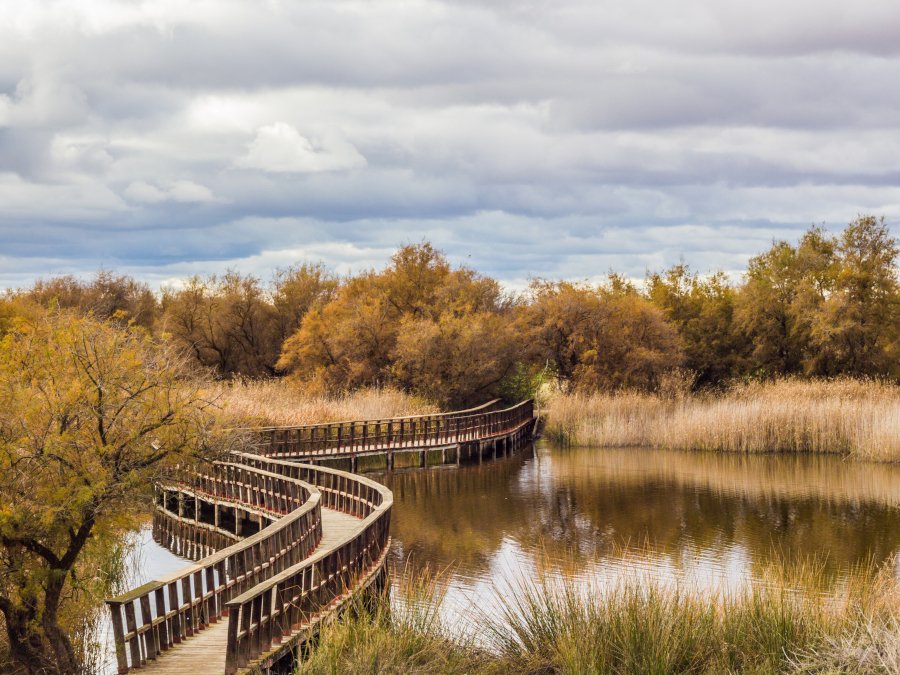 Tablas de Daimiel (Autor: Pablo García Armentano, CC BY-SA 3.0 es, https://commons.wikimedia.org/w/index.php?curid=40008915)