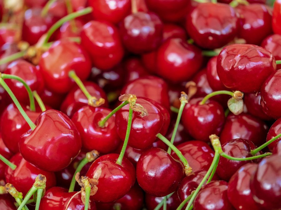 cerezas
