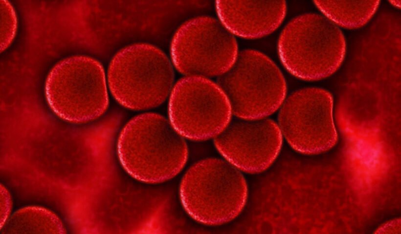 plasma sanguíneo