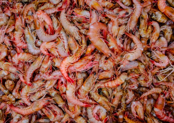 gambas