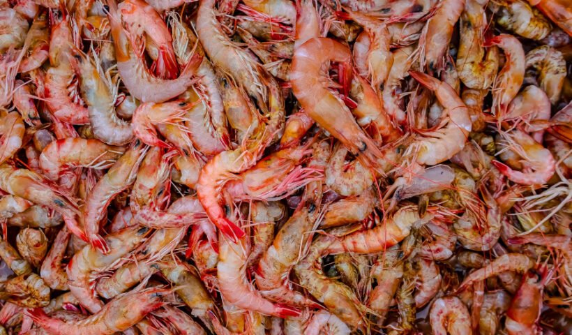 gambas