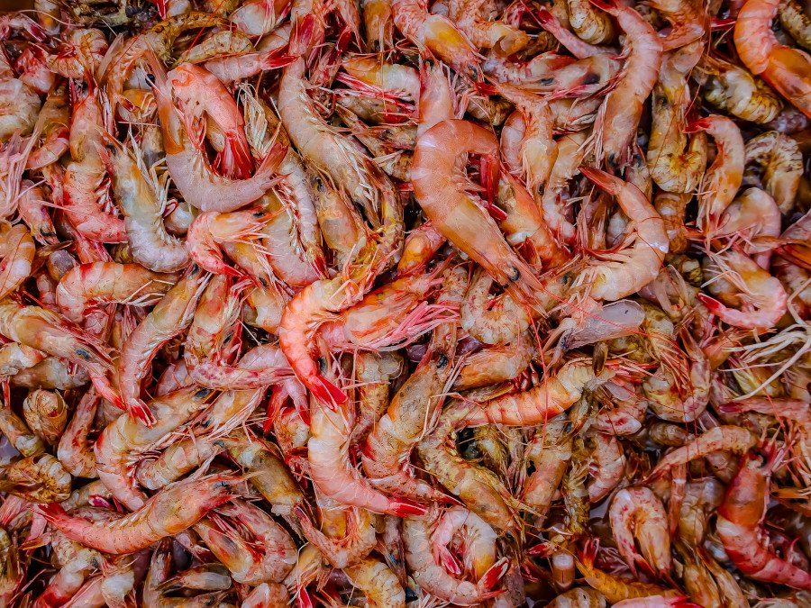 gambas