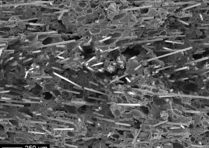 Micrografía obtenida por microscopía electrónica de barrido de un polipropileno reforzado con fibra de vidrio microespumado, el material utilizado en el estudio (Javier Gómez CCP)