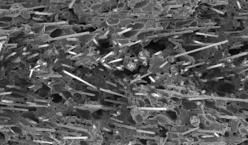 Micrografía obtenida por microscopía electrónica de barrido de un polipropileno reforzado con fibra de vidrio microespumado, el material utilizado en el estudio (Javier Gómez CCP)