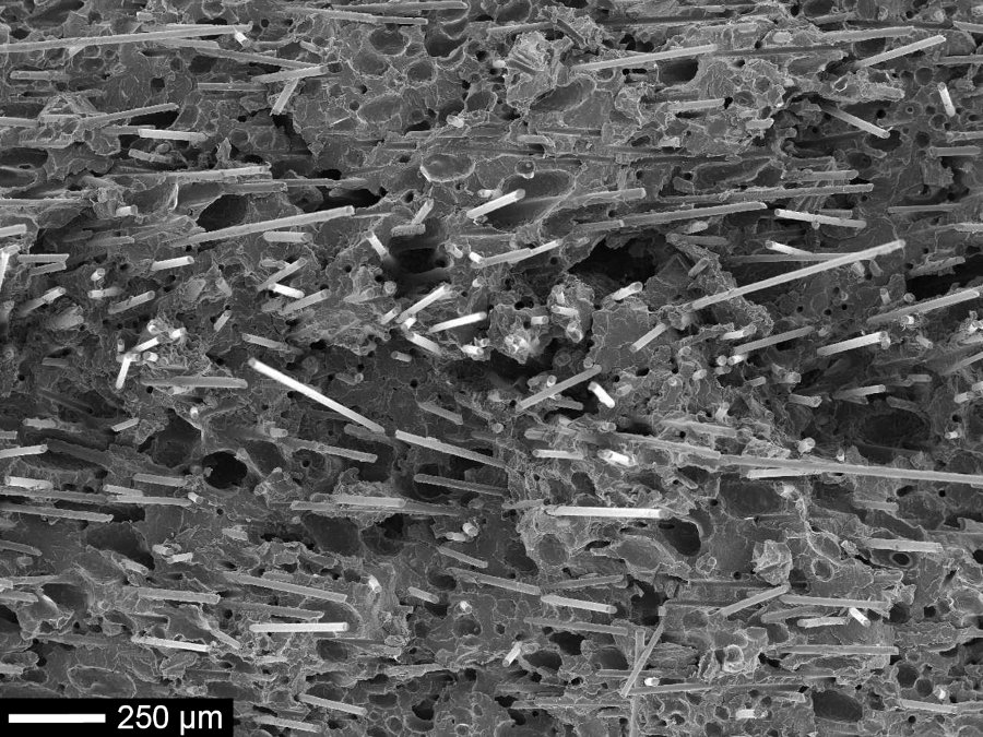 Micrografía obtenida por microscopía electrónica de barrido de un polipropileno reforzado con fibra de vidrio microespumado, el material utilizado en el estudio (Javier Gómez CCP)